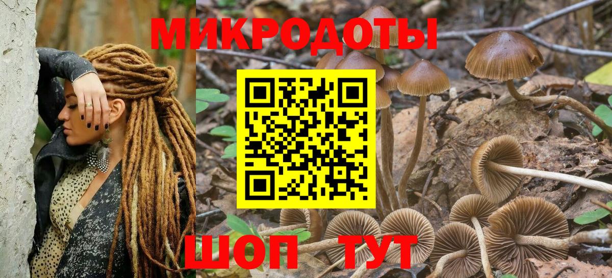 Псилоцибиновые грибы Psilocybine cubensis  Вход с VPN  Галлюциногенные грибы Magic Shrooms  Владивосток 
